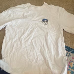 patagonia tee shirt